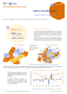 L'emploi salarié annuel - Fiche synthétique - ANNEE 2024