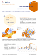 L'emploi salarié annuel - Fiche synthétique - ANNEE 2024
