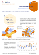 L'emploi salarié annuel - Fiche synthétique - ANNEE 2024