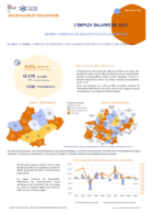 L'emploi salarié annuel - Fiche synthétique - ANNEE 2024
