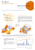 L'emploi salarié annuel - Fiche synthétique - ANNEE 2024