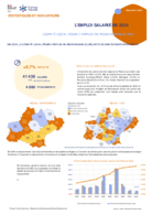 L'emploi salarié annuel - Fiche synthétique - ANNEE 2024