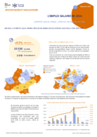 L'emploi salarié annuel - Fiche synthétique - ANNEE 2024