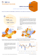 L'emploi salarié annuel - Fiche synthétique - ANNEE 2024