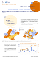 L'emploi salarié annuel - Fiche synthétique - ANNEE 2024