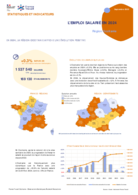 L'emploi salarié annuel - Fiche synthétique - ANNEE 2024
