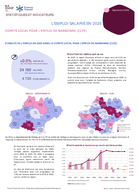 L'emploi salarié annuel - Fiche synthétique - ANNEE 2025